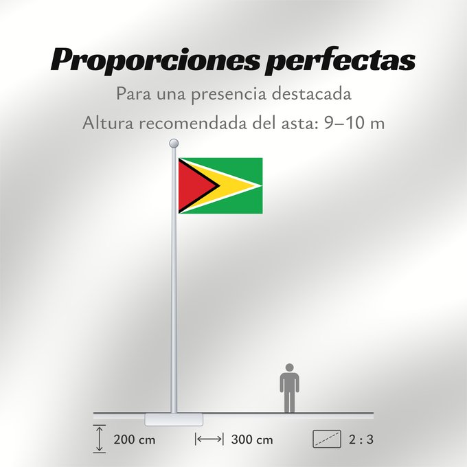 Proporciones de la bandera: Guyana	Guiana	Wayana wiphala	Gujano	Gwayana	Wayana unancha	Флаг Гайаны	Guyanas	Quốc kỳ Guyana
