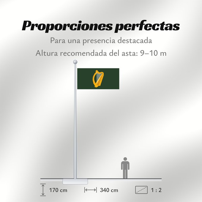Proporciones de la bandera: Leinster	W Leinster