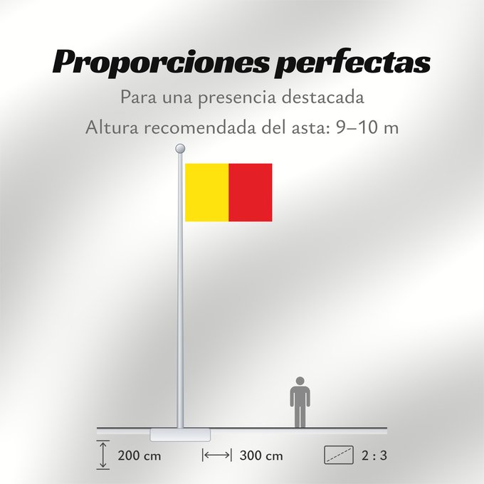 Proporciones de la bandera: Naples	Province of Naples	Province de Naples	Provincia de Naples	Provinz Naples	Napoli