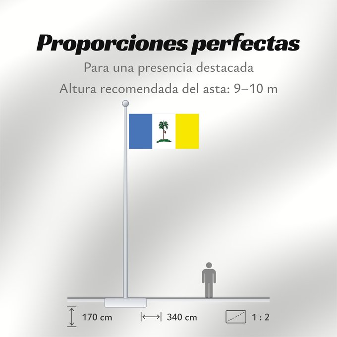Proporciones de la bandera: Pulau Pinang