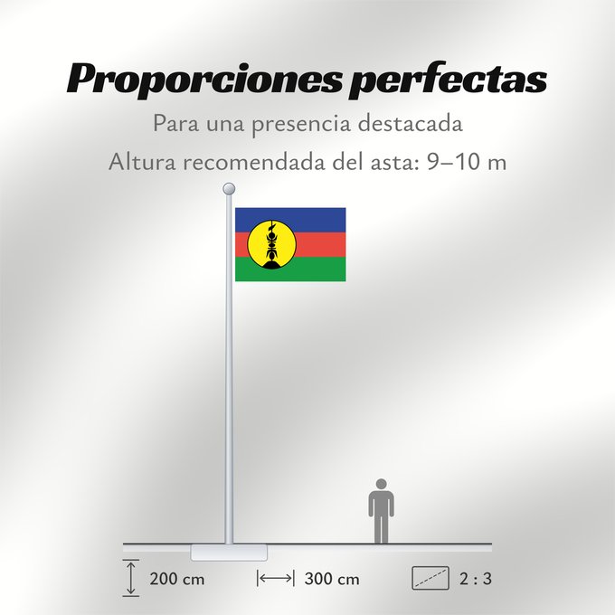 Proporciones de la bandera: FLNKS Kanak and Socialist National Liberation Front political party Front de libération nationale kanak et socialiste Colores Pantone http //www Neukaledonien Nuova Caledonia Front d Alliberament Nacional Canac Socialista