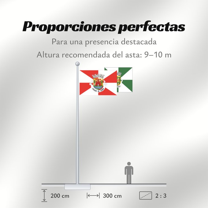 Proporciones de la bandera: Leiria