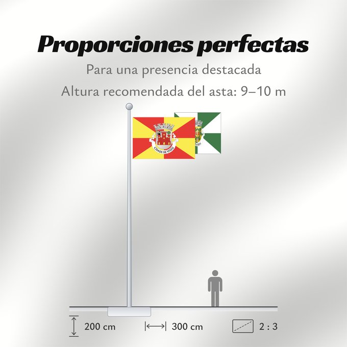 Proporciones de la bandera: Viseu