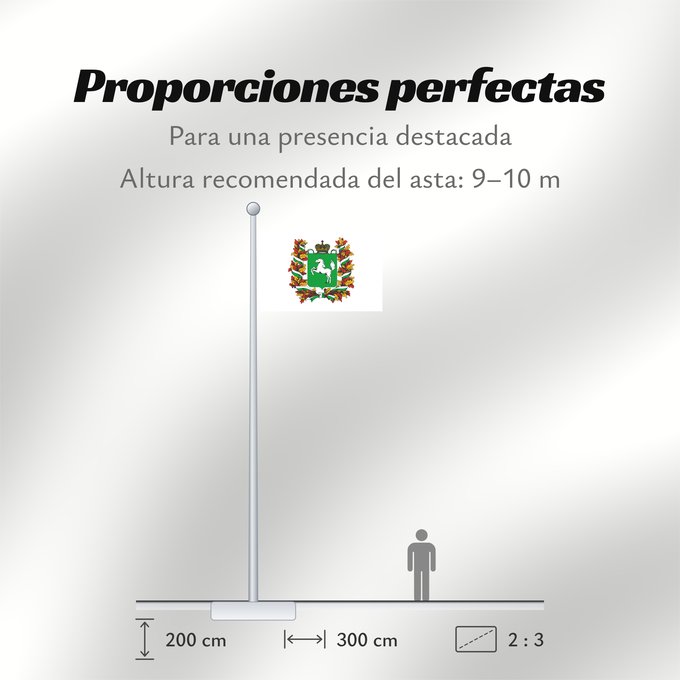 Proporciones de la bandera: Tomskaya oblast'