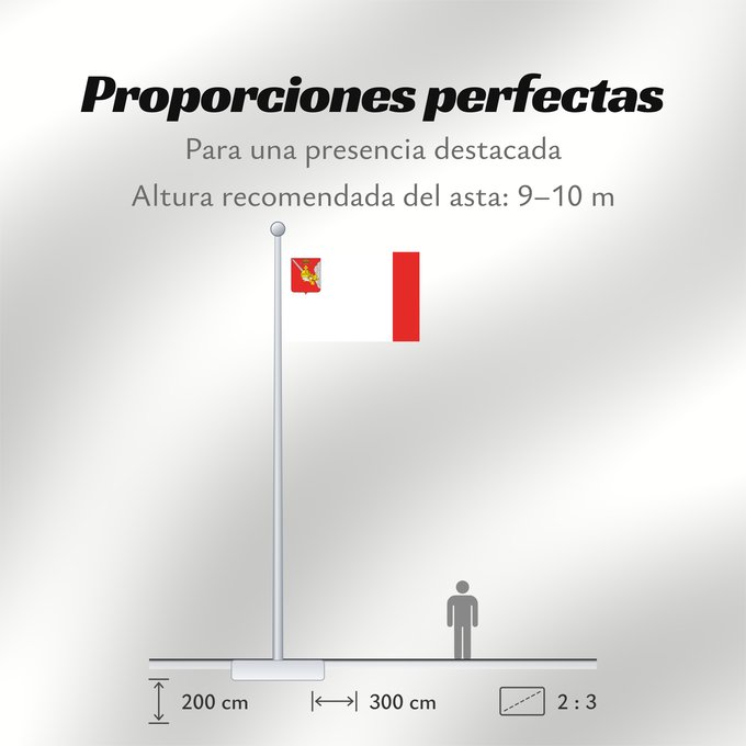 Proporciones de la bandera: Vologda Oblast	Vologda Oblast 	Oblast de Vologda	Óblast de Vólogda	Oblast Wologda