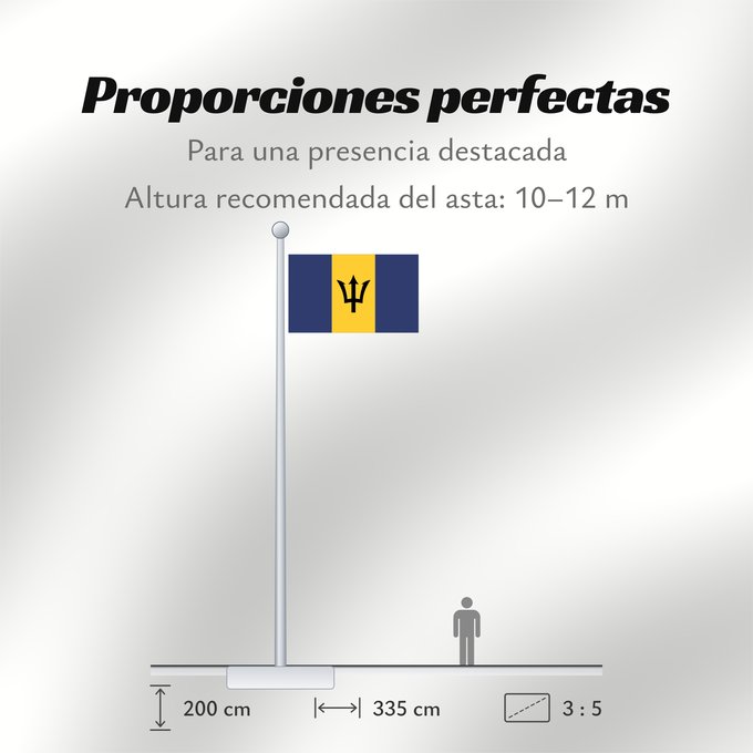 Proporciones de la bandera: Barbados	Barbade	Barbado	Barbadoksen	Ala Barbadosê	Флаг Барбадоса	Barbadosa