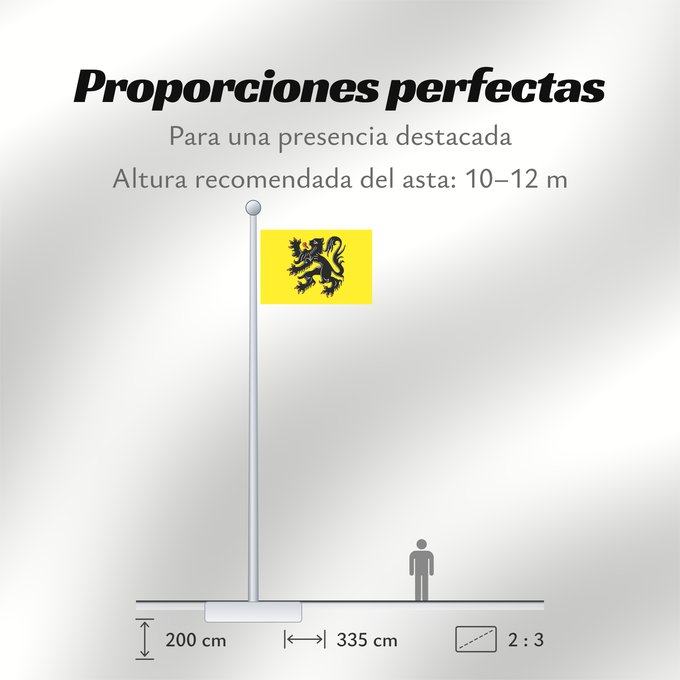 Proporciones de la bandera: Flanders	Flanders  Belgium , the region and community	Flandre  Belgique , la région et la communauté	Región Flamenca	Flämische Region	Regione delle Fiandre	Vlaanderen  België , het gewest en de gemeenschap