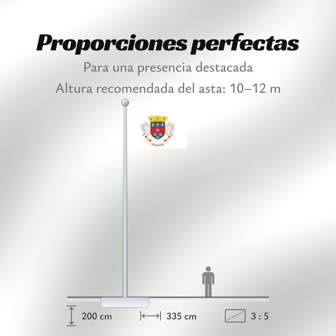 Proporciones de la bandera: Saint Barthélemy