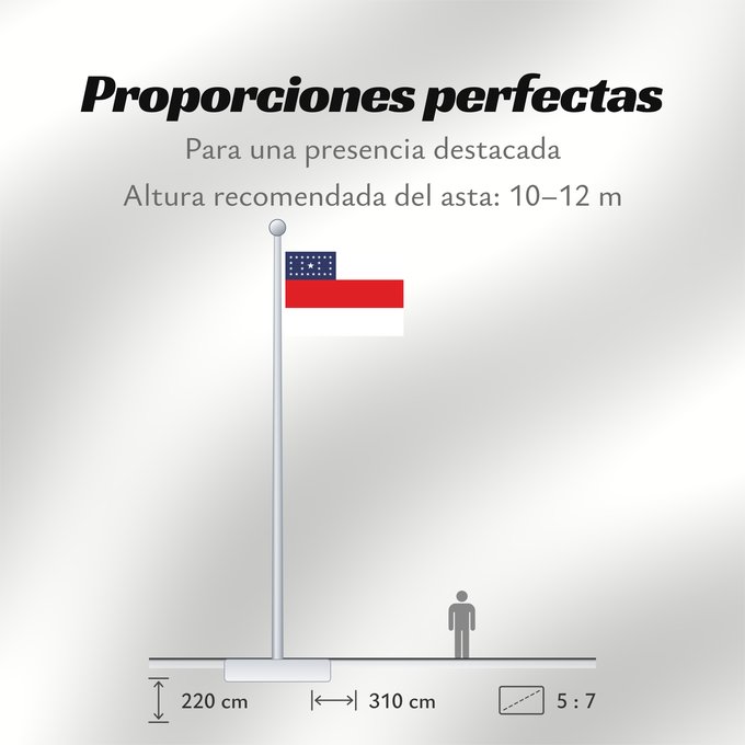 Proporciones de la bandera: Amazonas Amazonas, state of Brazil L’Amazonas, état du Brésil Amazonas, Brasil Amazonas, stato del Brasile Estado do Amazonas, Brasil علم أمازوناس، دولة البرازيل Σημαία της Αμαζόνας پرچم آمازوناس دولت برزیل דגל אמסונס, מדינת ברזיל अमेज़न Banyè fanmi Amazo