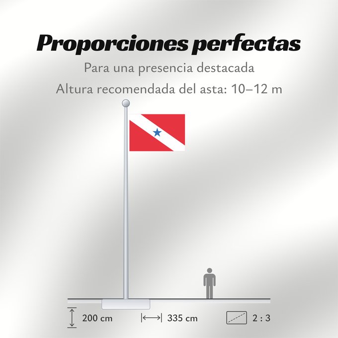 Proporciones de la bandera: Pará
