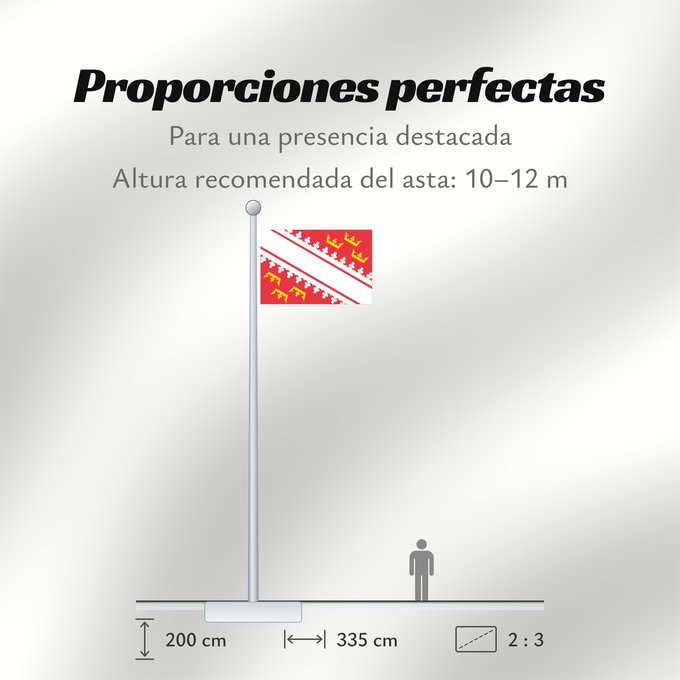 Proporciones de la bandera: Alsace L’Alsace Alsacia Französischen Region Elsass Alsazia