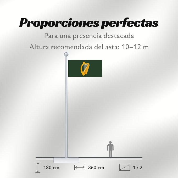 Proporciones de la bandera: Leinster	W Leinster