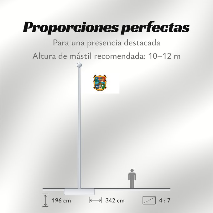 Proporciones de la bandera: Tamaulipas