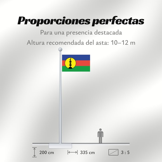 Proporciones de la bandera: FLNKS	Kanak and Socialist National Liberation Front political party	Front de libération nationale kanak et socialiste	Colores Pantone http //www	Neukaledonien	Nuova Caledonia	Front d Alliberament Nacional Canac Socialista