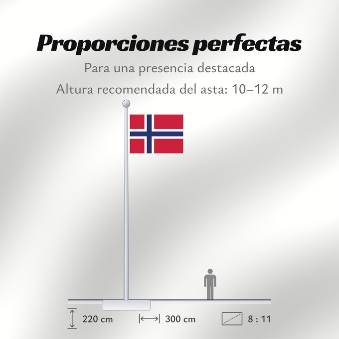 Proporciones de la bandera: Jan Mayen