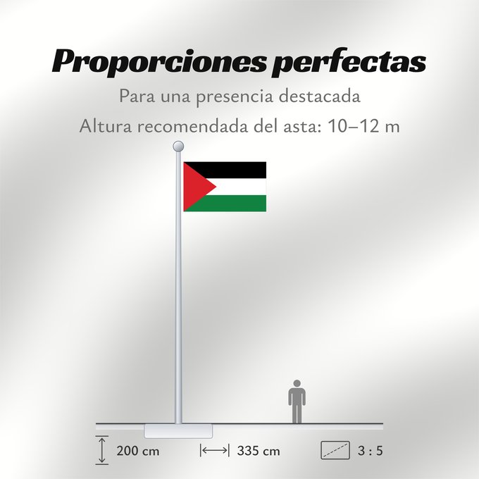 Proporciones de la bandera: Palestine State of Palestine L’État de Palestine Estado de Palestina Palästina Palestina علم فلسطين ফিলিস্তিনের পতাকা Palestino Dari Negara Palestina Флаг Государства Палестина