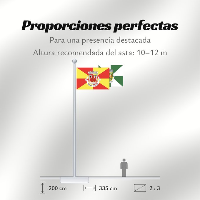Proporciones de la bandera: Viseu