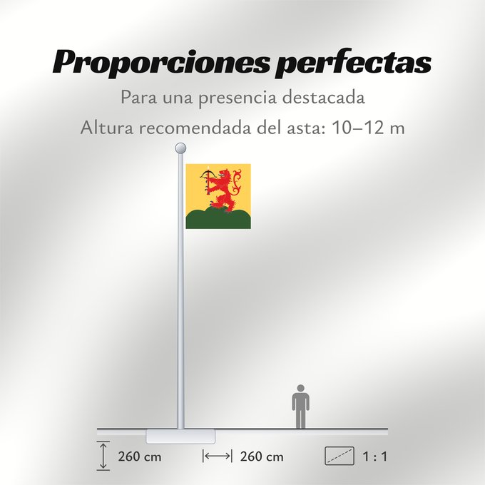 Proporciones de la bandera: Kronobergs län vapenflagga	Kronoberg County in Sweden	Kronoberg	Provincia de Kronoberg	Kronobergs läns vapenflagga