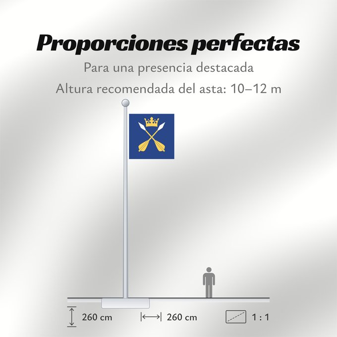 Proporciones de la bandera: Dalarnas län