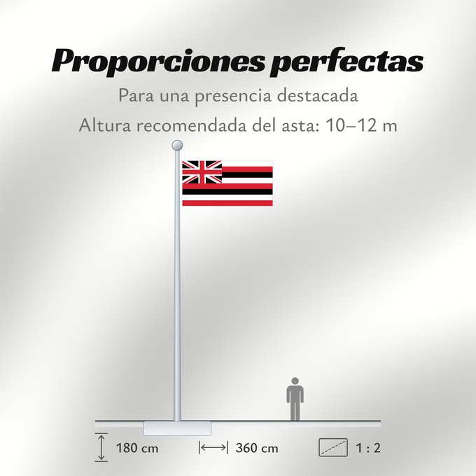 Proporciones de la bandera: Hawaii D Hawaï Hawái Banniel Hawaii ᎭᏩᏱ ᎦᏓᏘ Ka hae Hawaiʻi 夏哇夷 州의 旗 / 하와이 주의 기 Havaii Hawáai Hahoodzo bidah naatʼaʼí Флаг Гавайев Američke savezne države Havaji