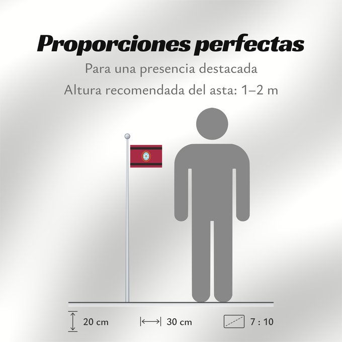 Proporciones de la bandera: Provincia de Salta Salta Province, Argentina province de Salta Provincia de Salta, Argentina Salta (Provinz) Provincia di Salta