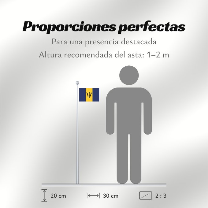 Proporciones de la bandera: Barbados	Barbade	Barbado	Barbadoksen	Ala Barbadosê	Флаг Барбадоса	Barbadosa