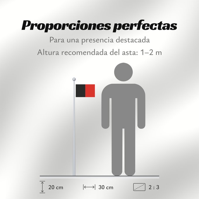 Proporciones de la bandera: Namur Province Namur Shows the flag of the province of Namur in Belgium