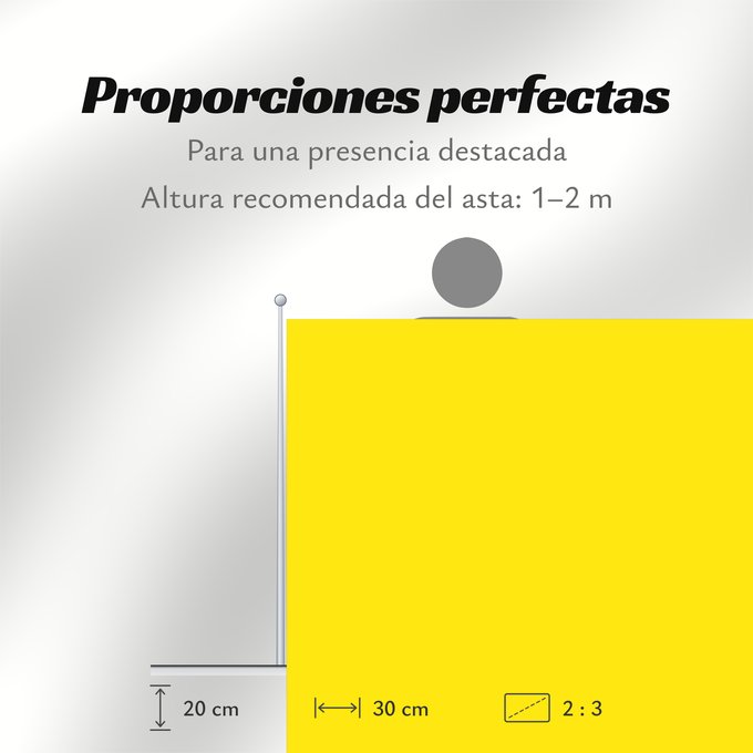 Proporciones de la bandera: Zingem	Belgian municipality Zingem