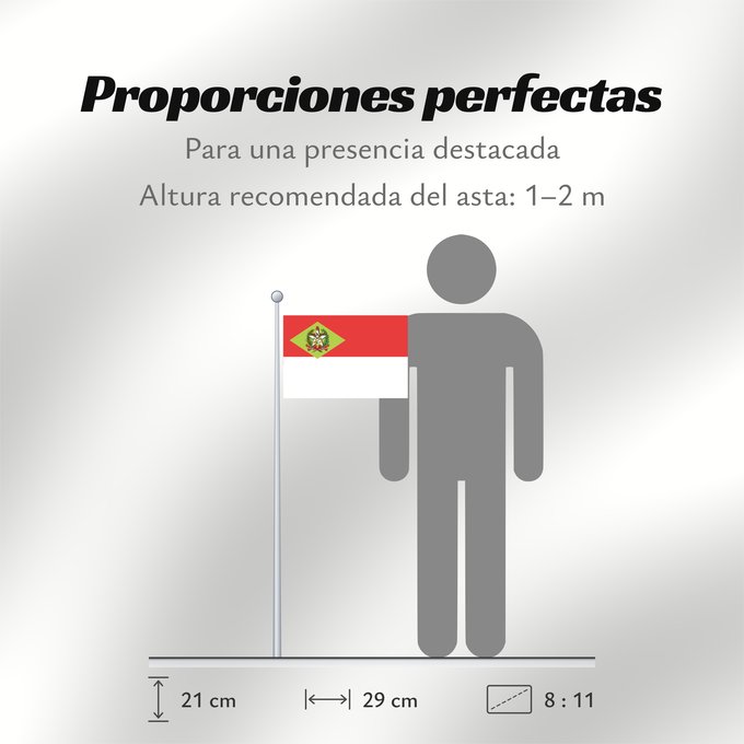 Proporciones de la bandera: Santa Catarina
