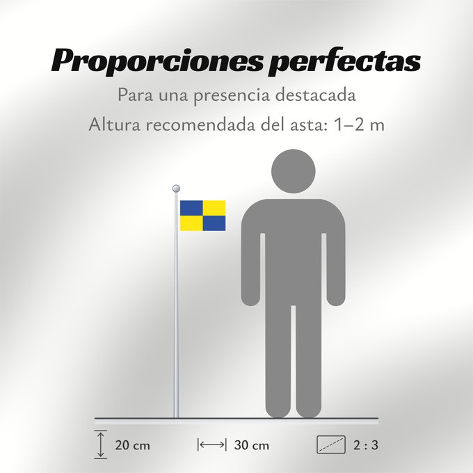 Proporciones de la bandera: Zapallar Zapallar, Chile