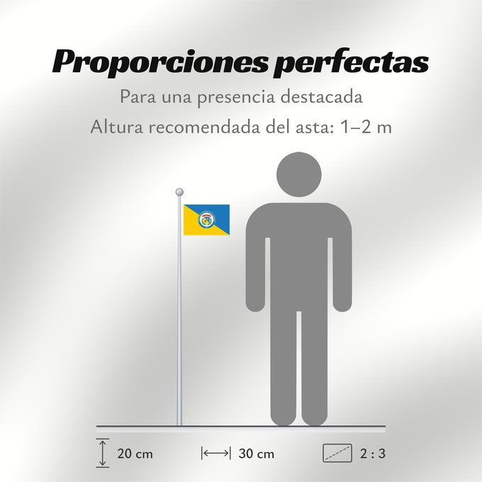 Proporciones de la bandera: Universidad Militar Nueva Granada