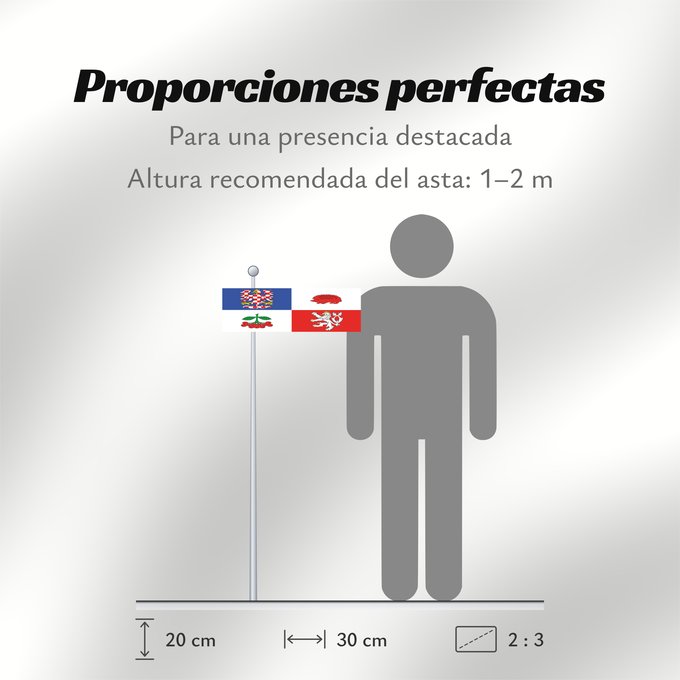 Proporciones de la bandera: Vysocina Region	Vysočina Region	Région de Vysočina	Región de Vysočina	Region Vysočina