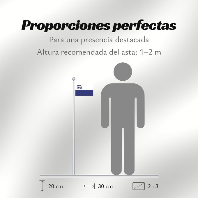 Proporciones de la bandera: Bund Deutscher Norsleswischer