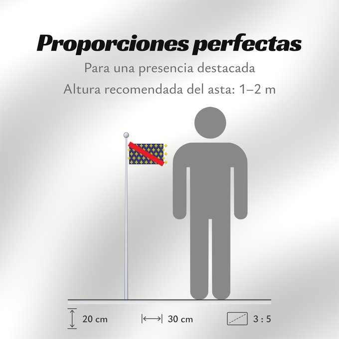 Proporciones de la bandera: Bourbonnais French province of Bourbonnais Borbonés Borbonnais