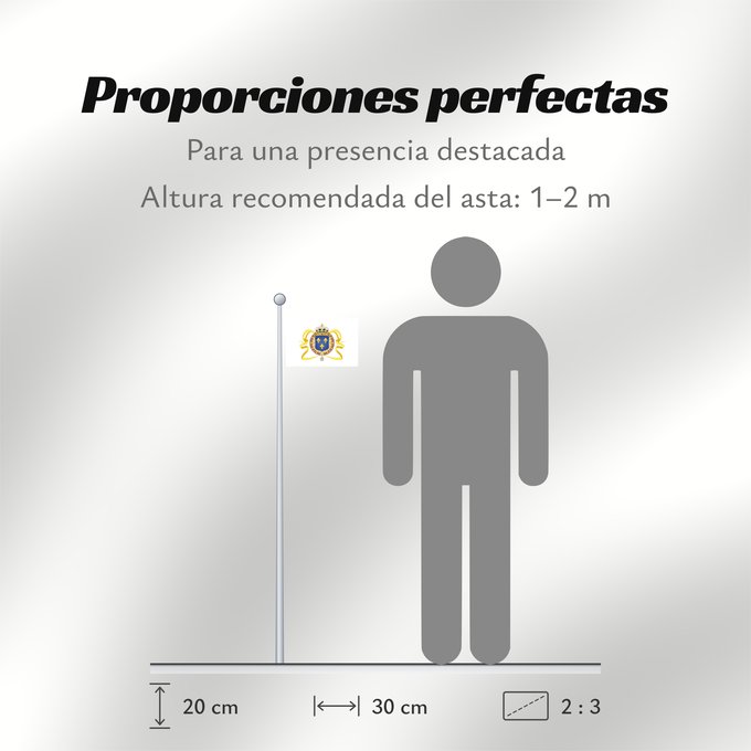 Proporciones de la bandera: Pavillon LouisXIV