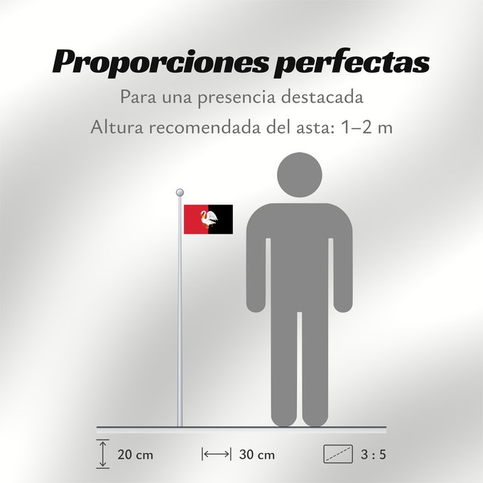 Proporciones de la bandera: Buckinghamshire