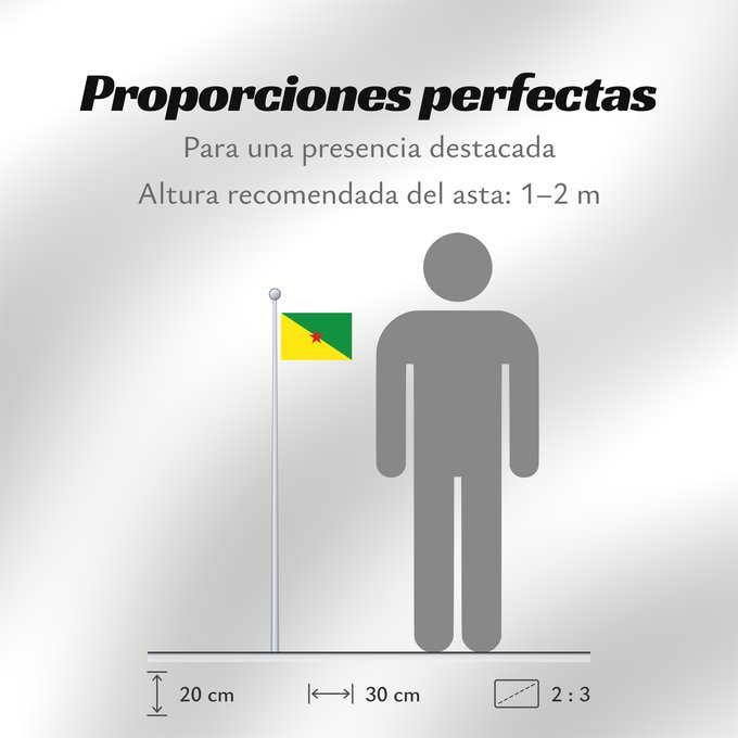Proporciones de la bandera: French Guiana	Guyane	Guayana Francesa	Französisch-Guayana	Guyana Francese