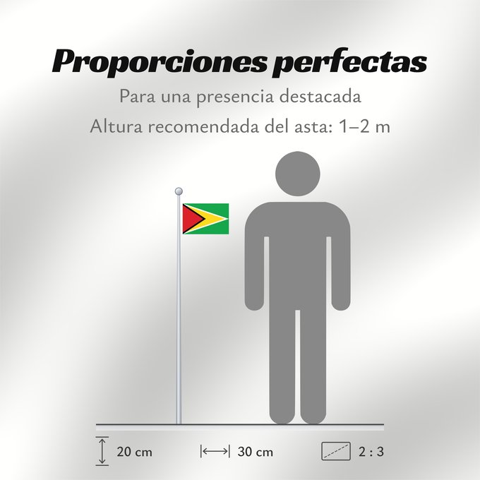 Proporciones de la bandera: Guyana Guiana Wayana wiphala Gujano Gwayana Wayana unancha Флаг Гайаны Guyanas Quốc kỳ Guyana