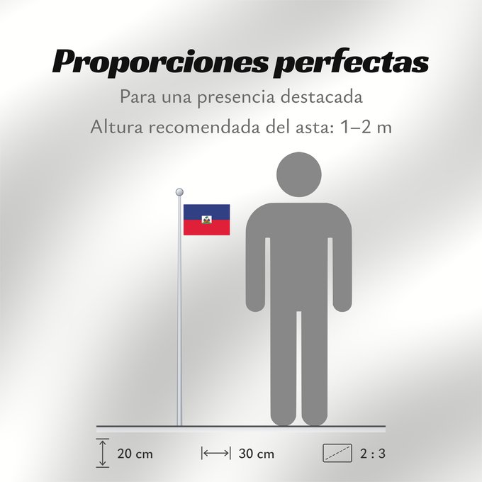 Proporciones de la bandera: Haiti  civil	Haiti	Haïti	Haití