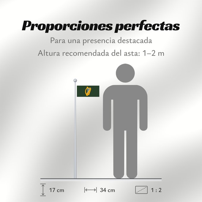 Proporciones de la bandera: Leinster	W Leinster