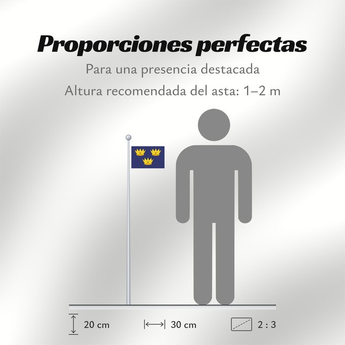 Proporciones de la bandera: Munster