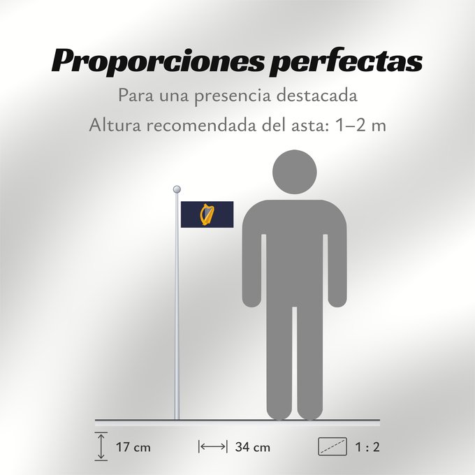 Proporciones de la bandera: President of Ireland Presidential Flag of Ireland with alternate official state harp design Étendard présidentiel d'Irlande (motif de harpe alternatif) Estandarte Presidencial de Irlanda (diseño alternativo de arpa) Präsidentenstandarte von Irland (abweic