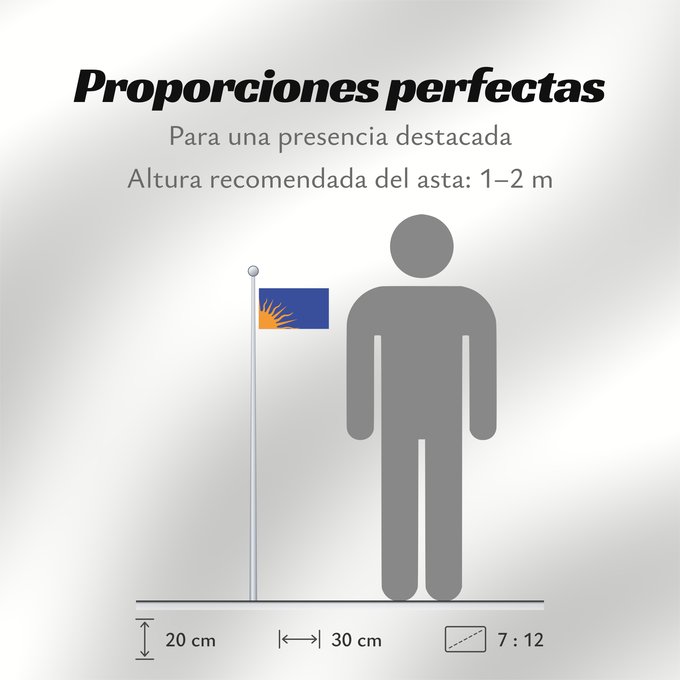 Proporciones de la bandera: Sunburst	Modern design of the Irish nationalist  Sunburst flag