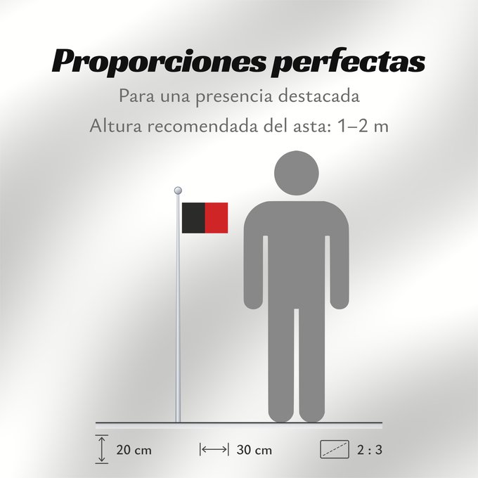 Proporciones de la bandera: Valle d'Aosta, Vallée d'Aoste (fr)