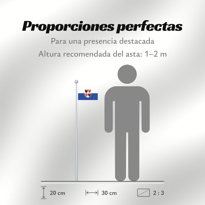 Proporciones de la bandera: Trentino-South Tyrol	It is easy to put a border around this flag image	Région Autonome Trentin-Haut-Adige, Italie	Región Autónoma Trentino-Alto Adigio, Italia	Autonomen Region Trentino-Südtirol, Italien	Regione Autonoma Trentino-Alto Adige, Italia	Bannera
