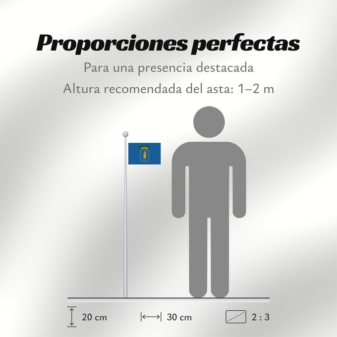 Proporciones de la bandera: Lucca Province Province of Lucca Province de Lucca Provincia de Luca Provinz Lucca Provincia di Lucca