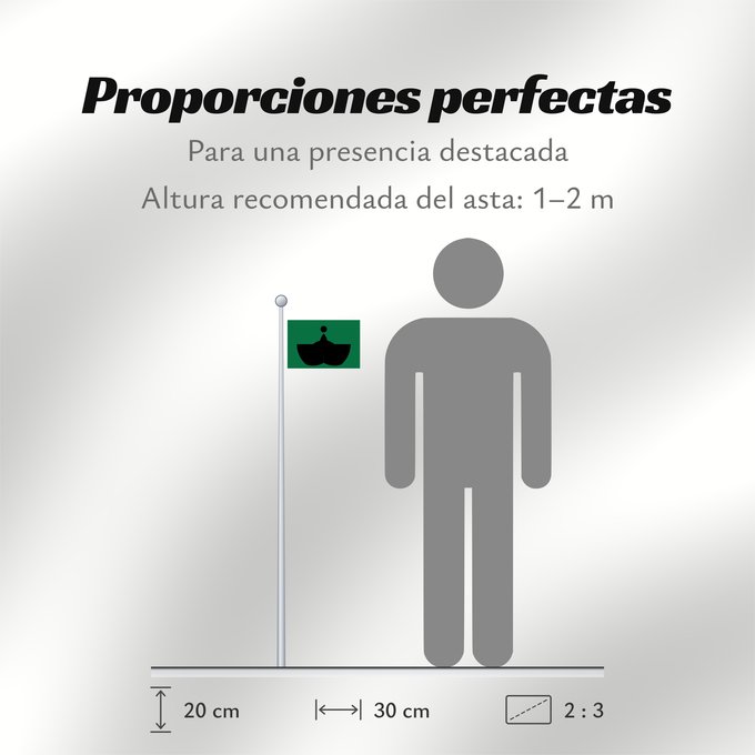 Proporciones de la bandera:  Tiba [Chiba]