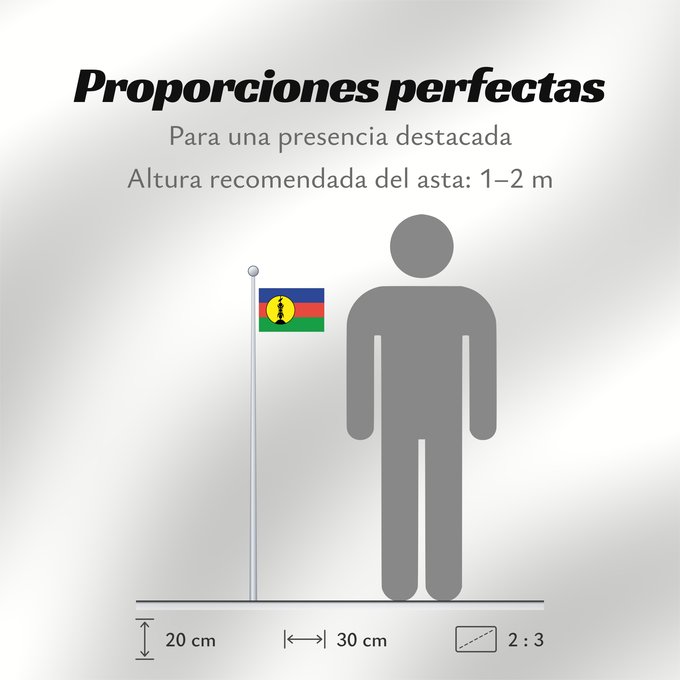 Proporciones de la bandera: FLNKS	Kanak and Socialist National Liberation Front political party	Front de libération nationale kanak et socialiste	Colores Pantone http //www	Neukaledonien	Nuova Caledonia	Front d Alliberament Nacional Canac Socialista