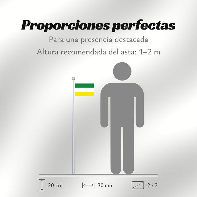 Proporciones de la bandera: Cajamarca