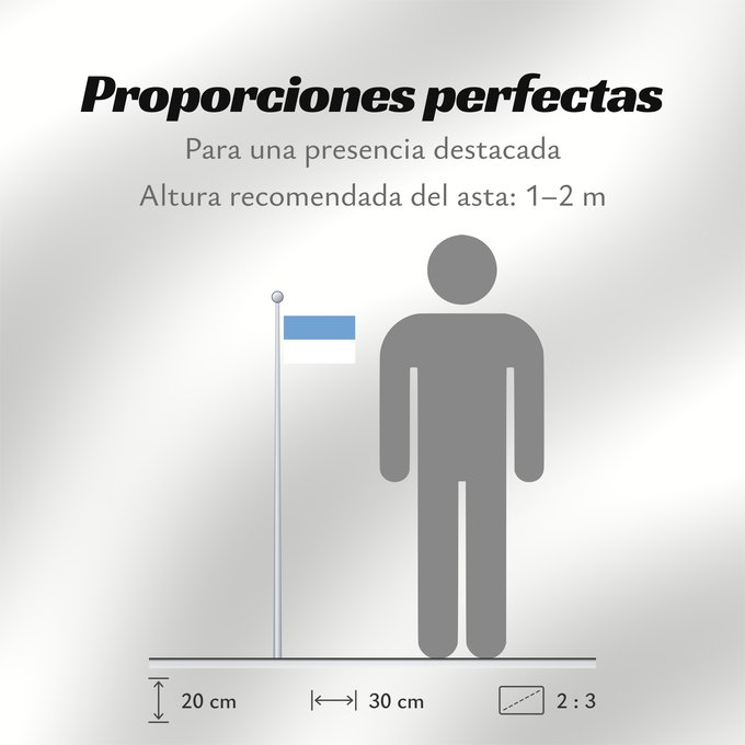 Proporciones de la bandera: Puno